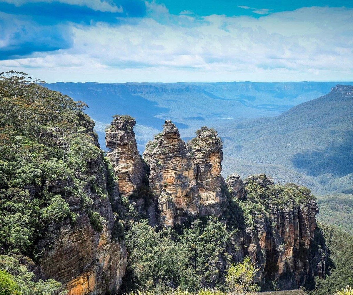 블루마운틴