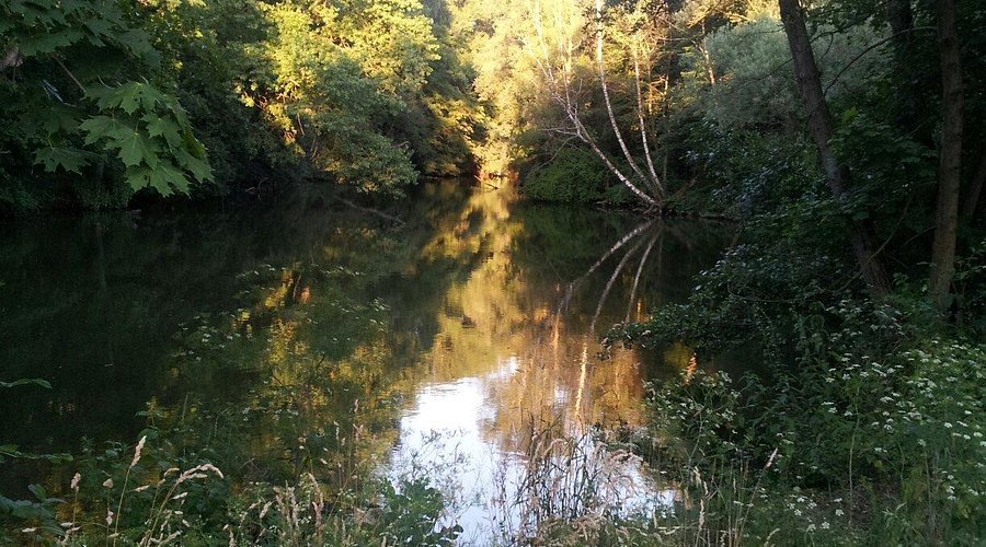 파버발트(Faberwald)