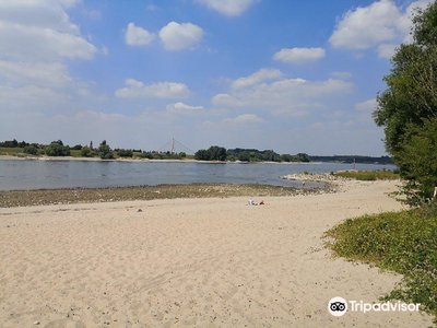 라인강변(라인슈트란트)