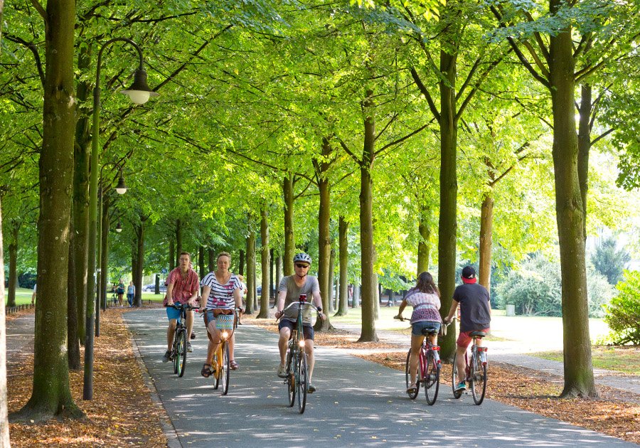 🌳 프로메나데