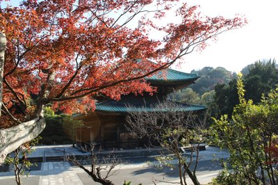 ⛩️ 극락사(고쿠라쿠지)