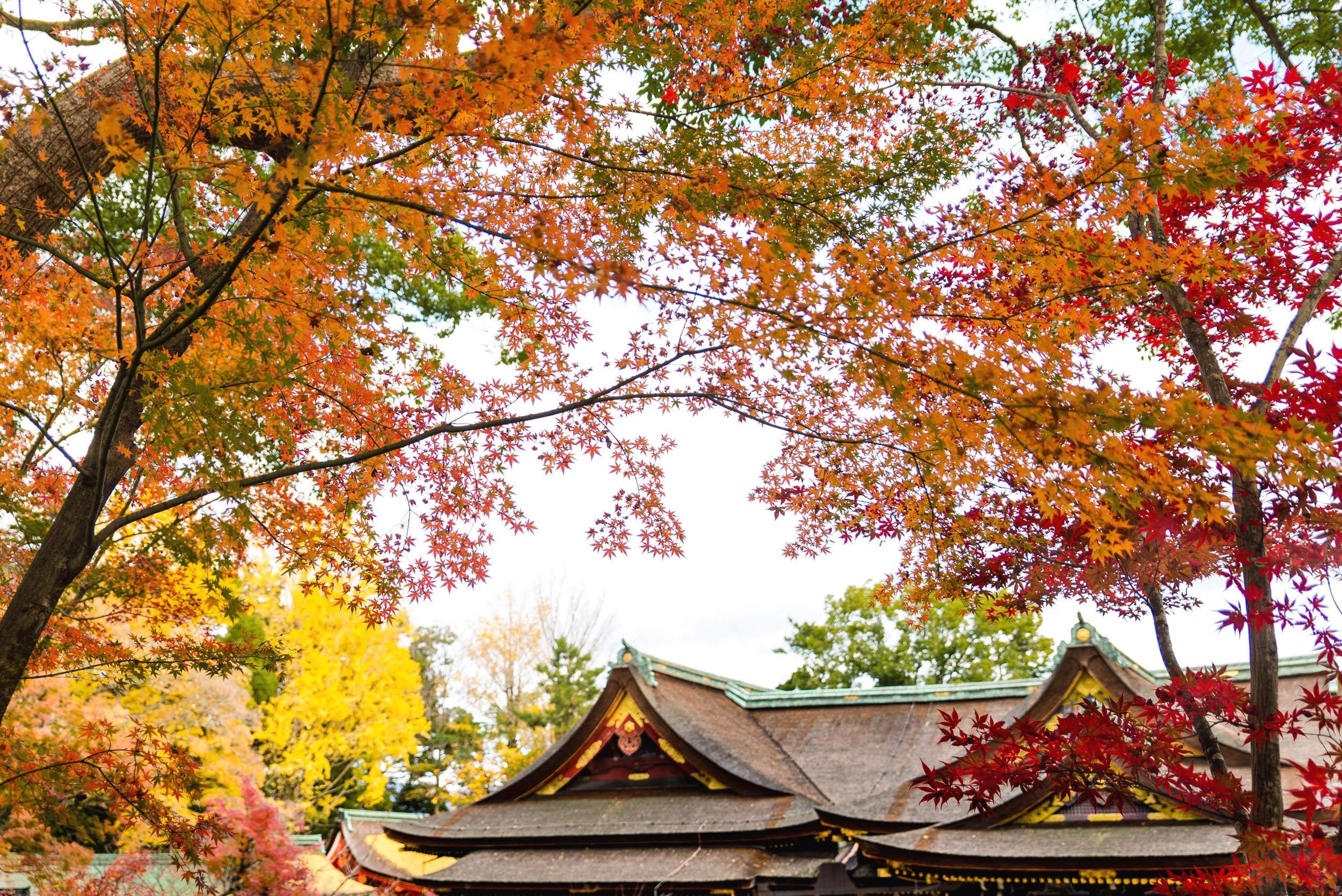 🏯 곡성사(고쿠쇼지) 이미지 8