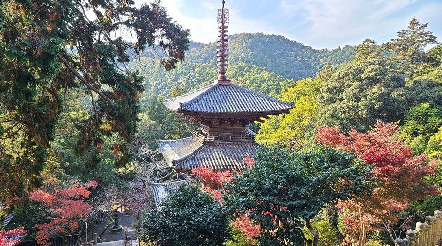 🏯 이치조지 이미지 8