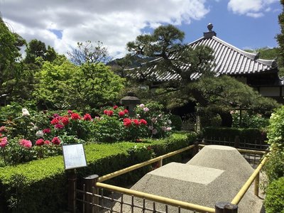 🌸 석광사 이미지 2