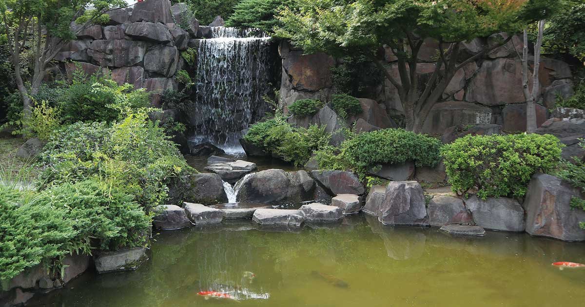 🏞️ 심수원(신슈엔) 이미지 4