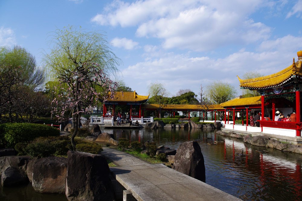 🏞️ 심수원(신슈엔) 이미지 5