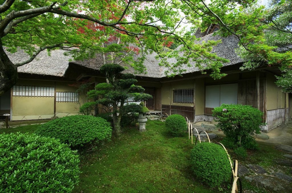 🍁 구넨안 이미지 4