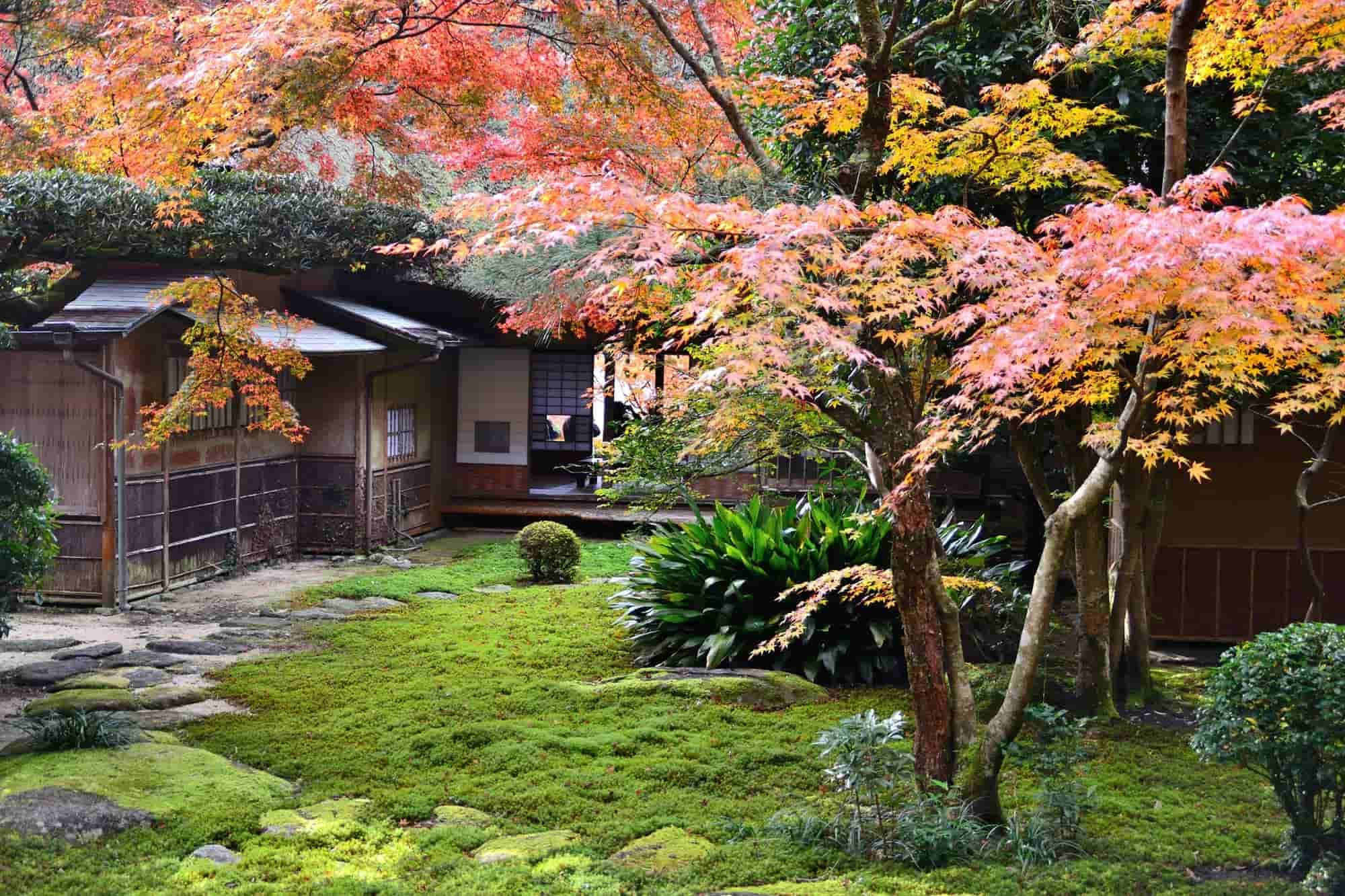 🍁 구넨안 이미지 9