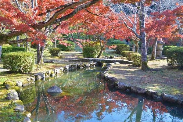 🍁 구넨안 이미지 8