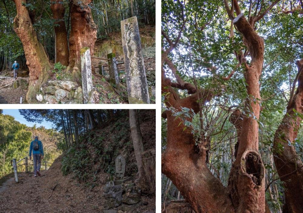 ⛩️ 온잔지(恩山寺) 이미지 8