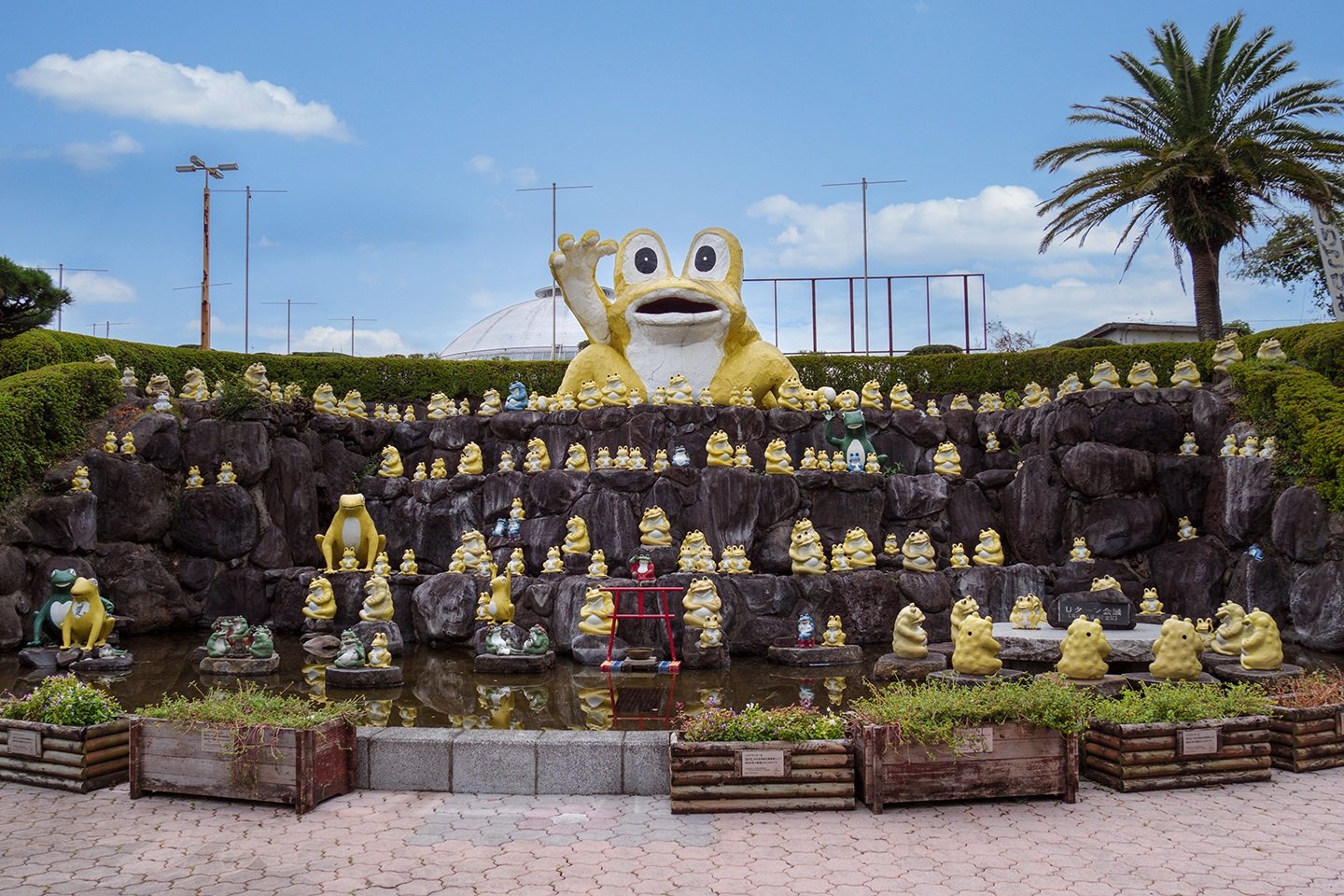 🎡 노지리코피아 이미지 5