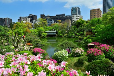 🌳 상락원(소라쿠엔)