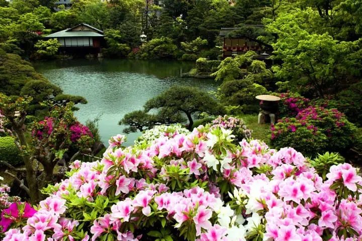 🌳 상락원(소라쿠엔) 이미지 13