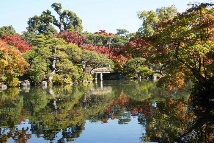 🌳 상락원(소라쿠엔) 이미지 16