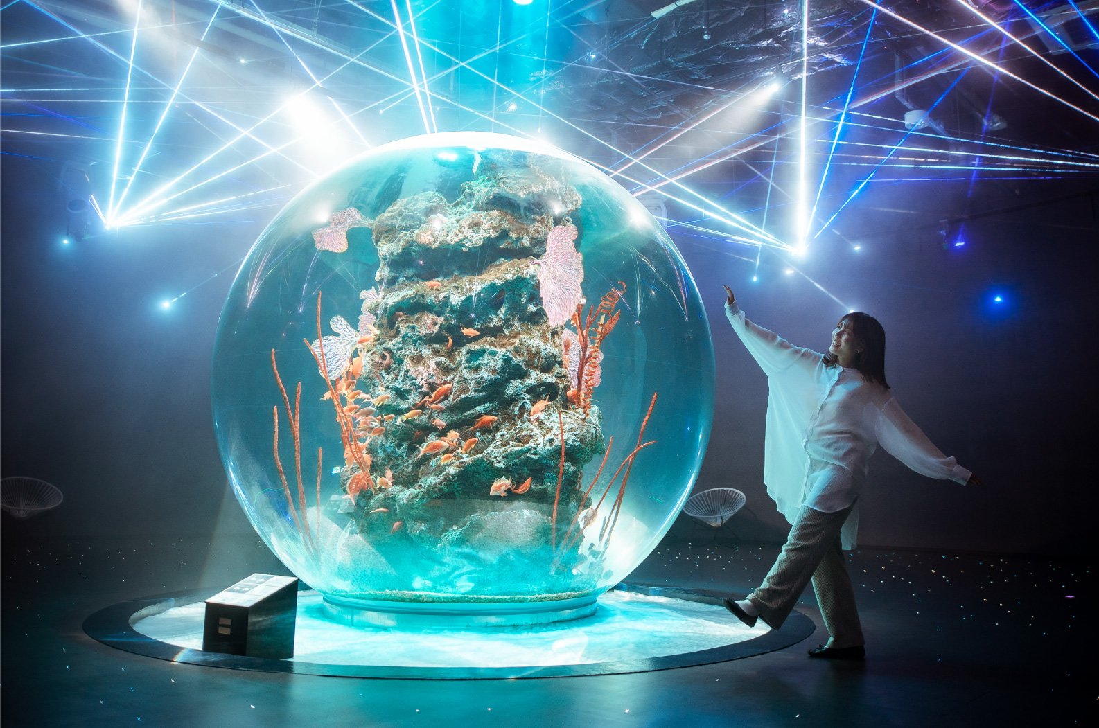 🎨 아토아 이미지 3