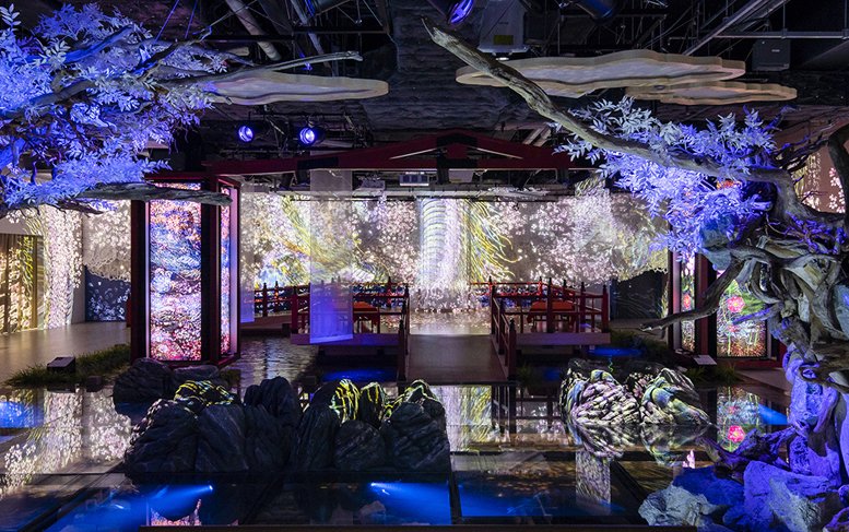 🎨 아토아 이미지 4