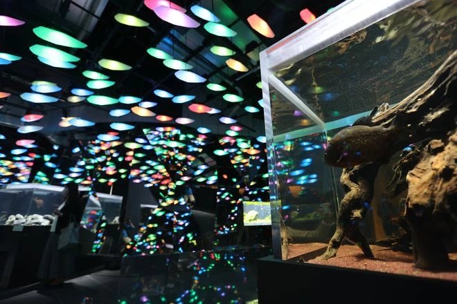 🎨 아토아 이미지 8