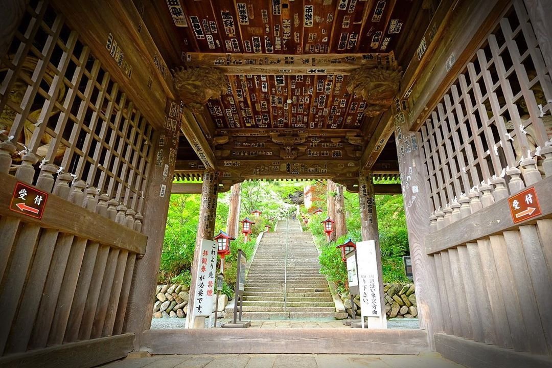 🍇 다이젠지 이미지 10