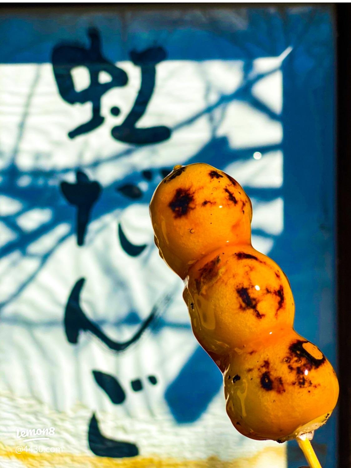 🏯 대성사(다이쇼지) 이미지 4