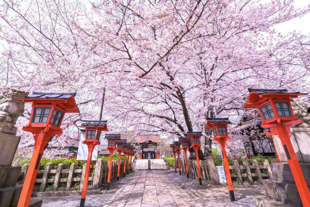 🏯 대성사(다이쇼지) 이미지 5