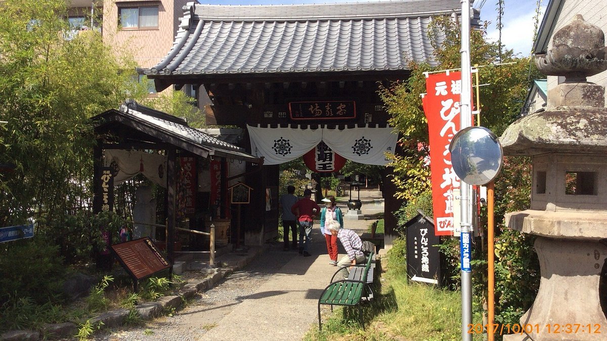 🏯 대성사(다이쇼지) 이미지 8