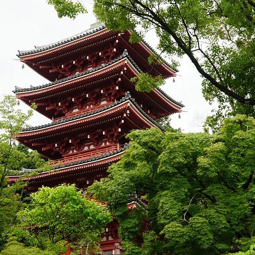 🏯 안라쿠 사원(안라쿠지) 이미지 6