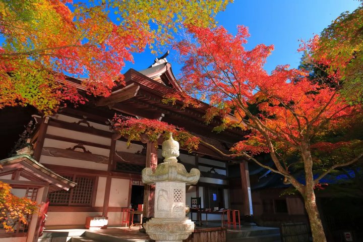 🏯 관음사(칸논지) (오미도) 이미지 10