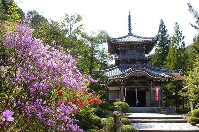 🌸 여의사(뇨이지)