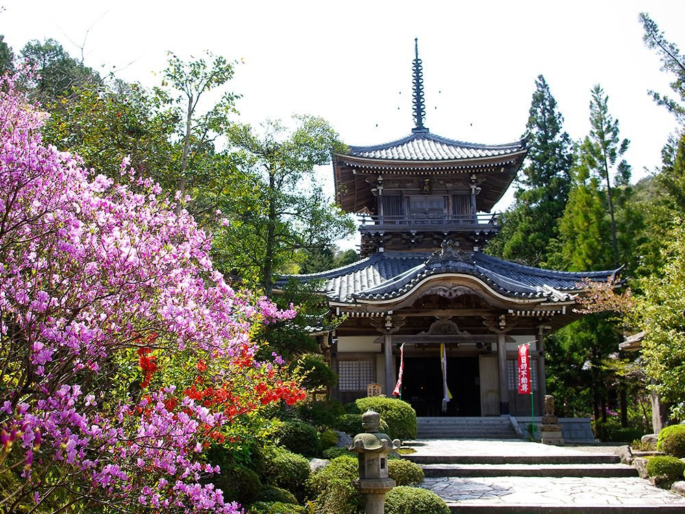 🌸 여의사(뇨이지)