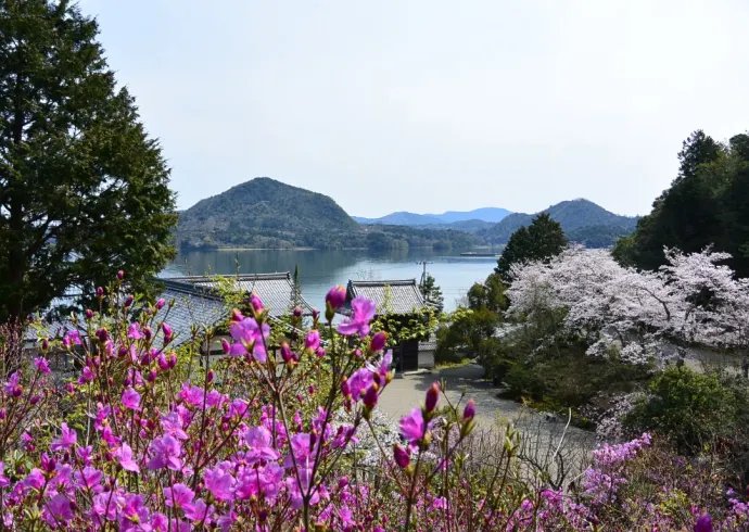 🌸 여의사(뇨이지) 이미지 4