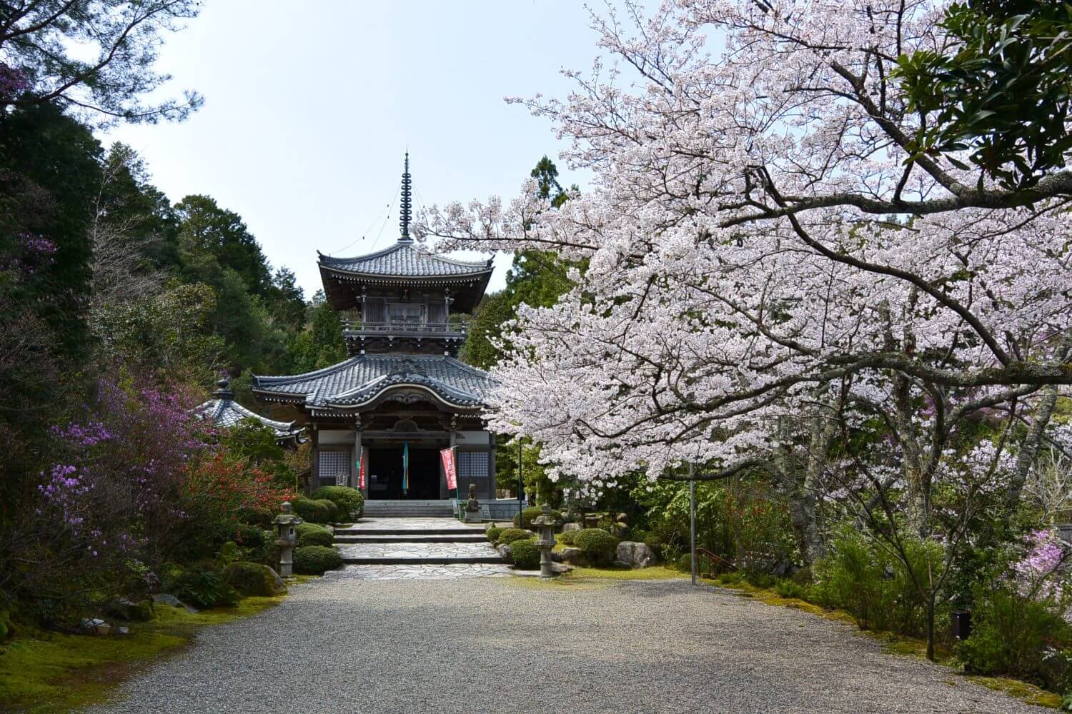 🌸 여의사(뇨이지) 이미지 8