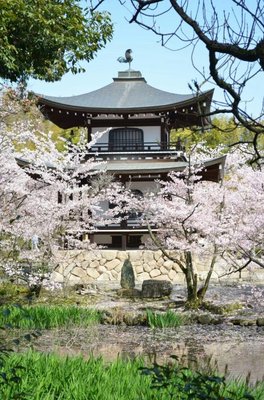 🏯 권수사(카쥬지)