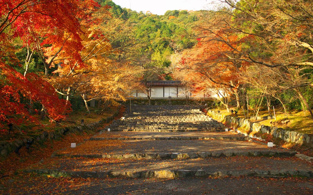 ⛩️ 니손인 이미지 1