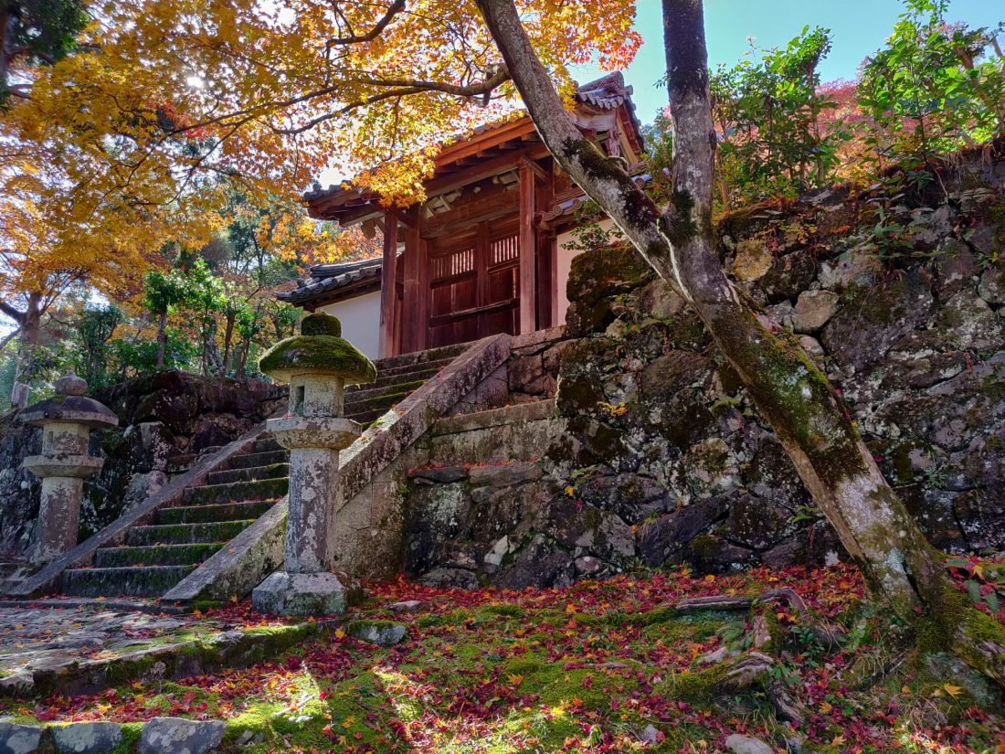 ⛩️ 니손인 이미지 5