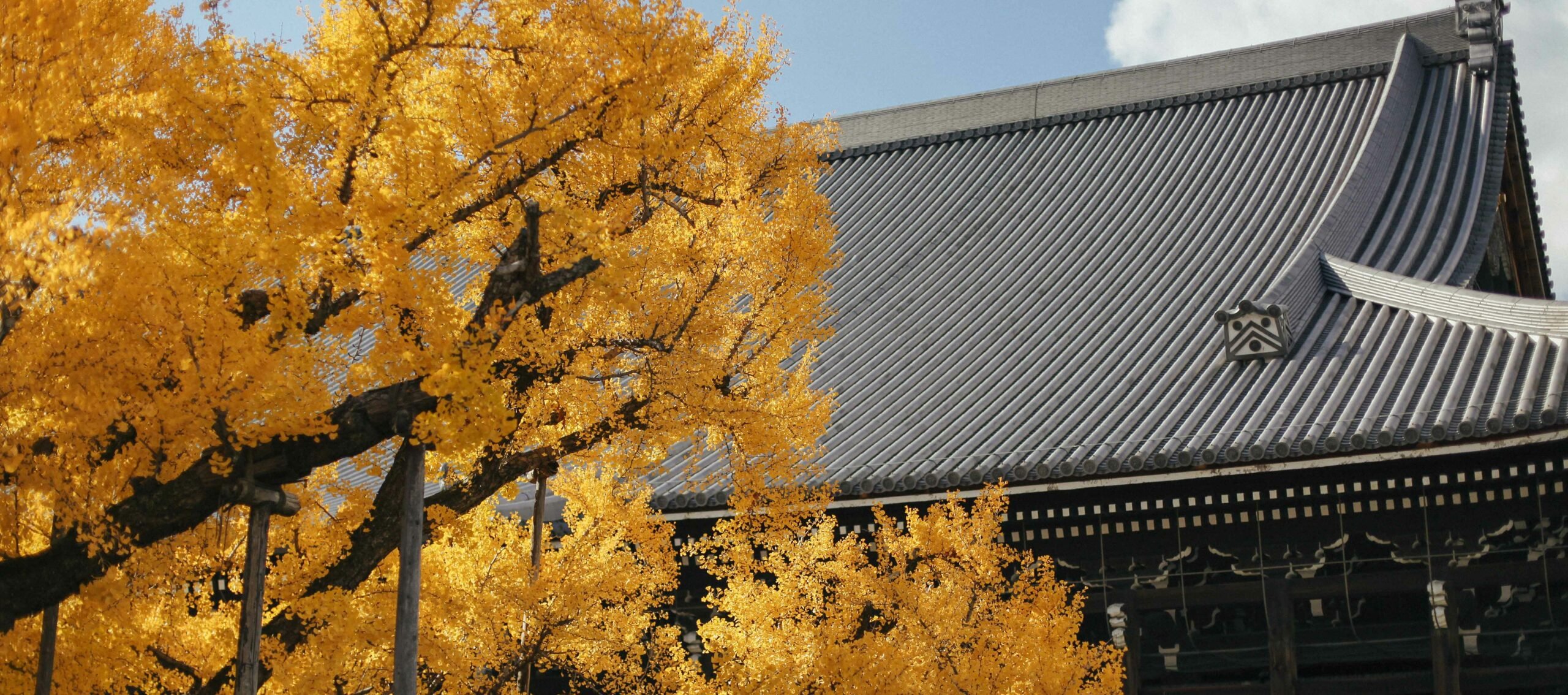 🏯 니시혼간지 이미지 8