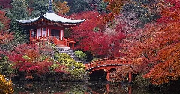 🌸 다이고지 이미지 1