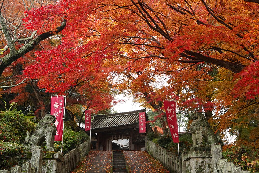 ⛩️ 다이호온지(센본샤카도) 이미지 8