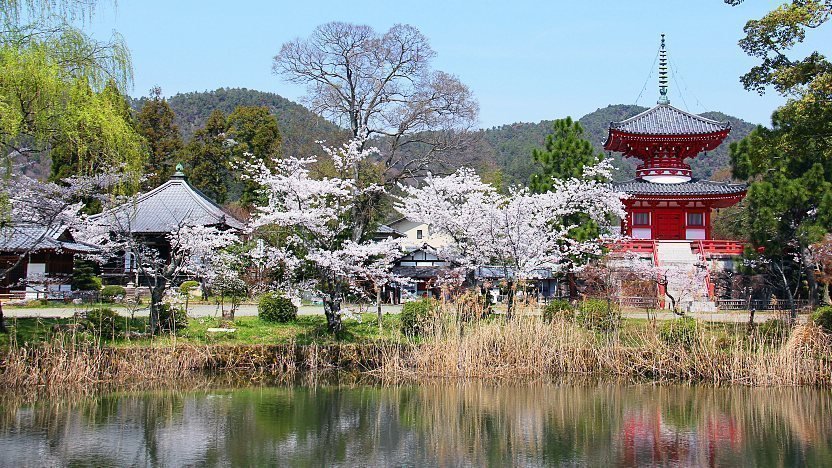 🏯 대각사(다이카쿠지) 이미지 1