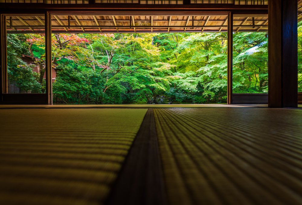 🍁 루리코인(瑠璃光院) 이미지 5