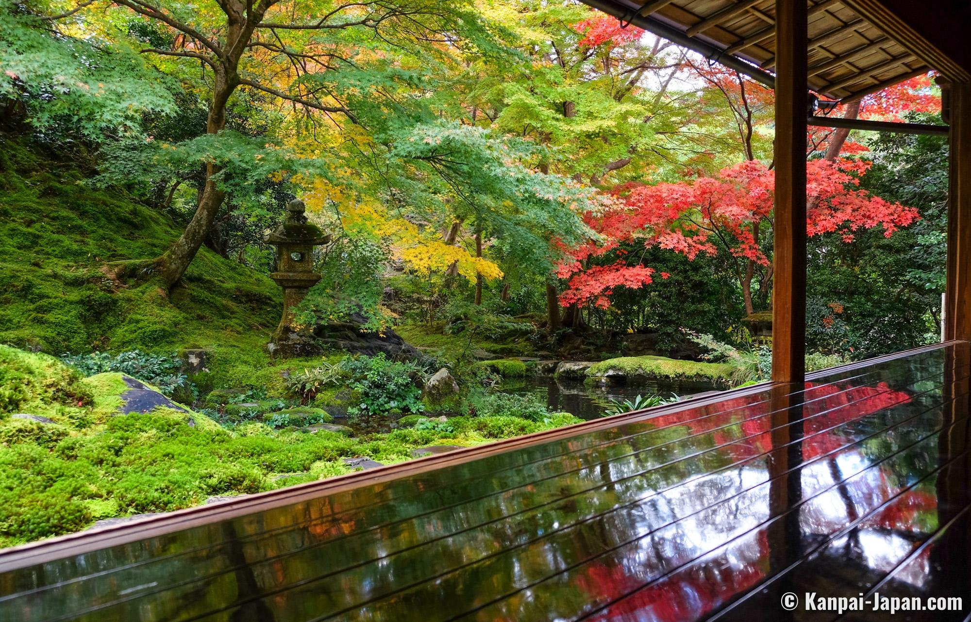 🍁 루리코인(瑠璃光院) 이미지 7