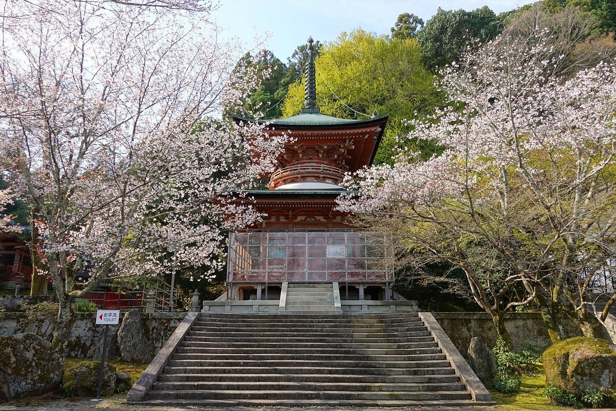 🏯 법륜사(호린지) 이미지 5