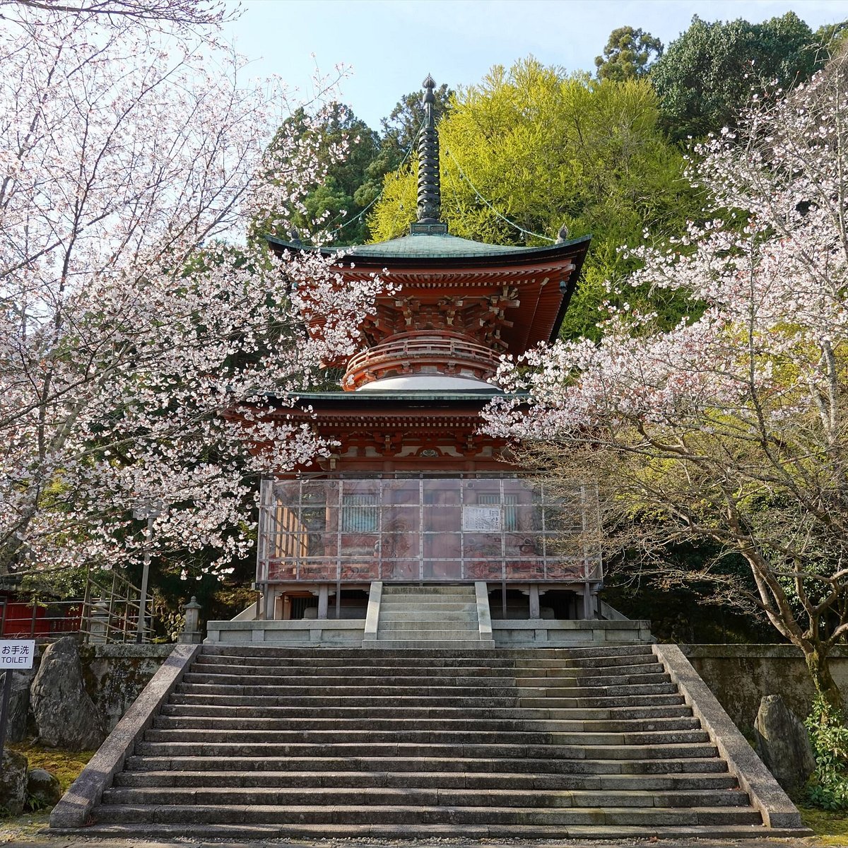 🏯 법륜사(호린지) 이미지 9