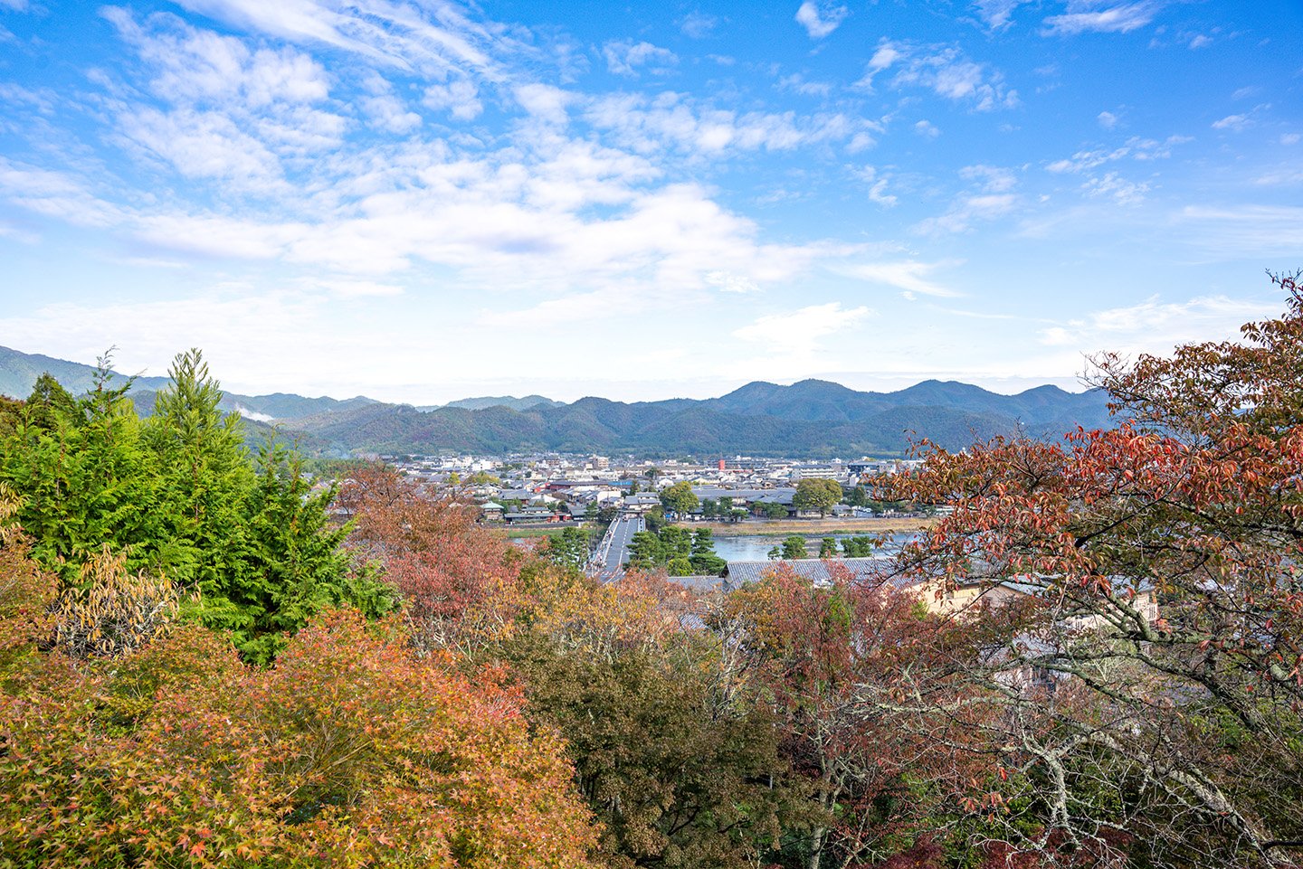 🏯 법륜사(호린지) 이미지 10