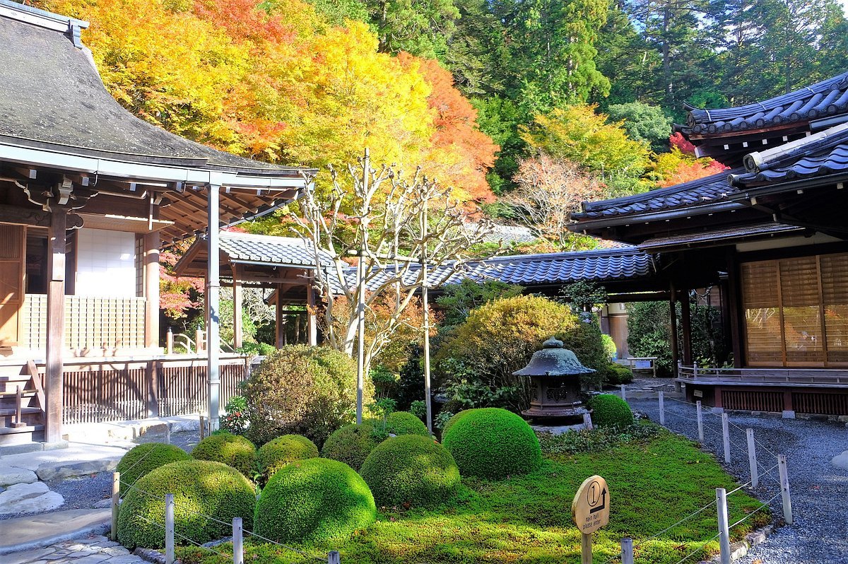 🏯 잣코인 이미지 3