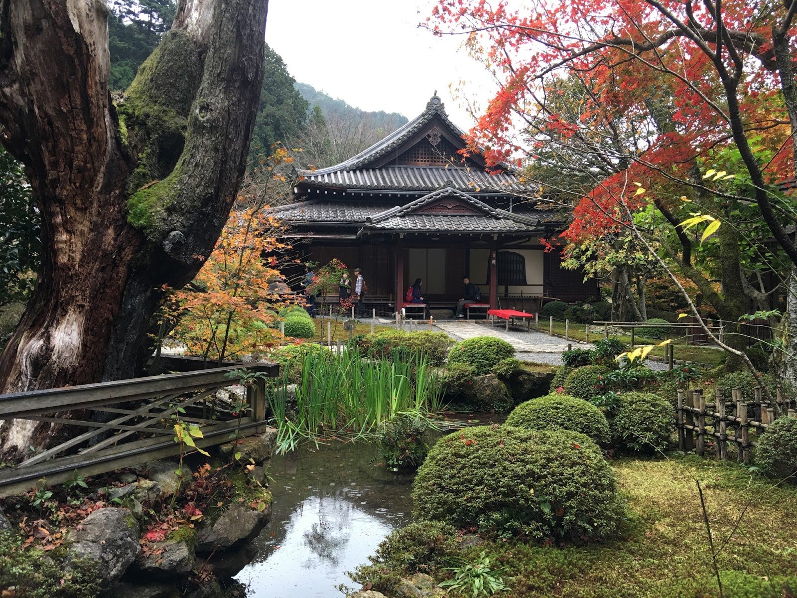 🏯 잣코인 이미지 7