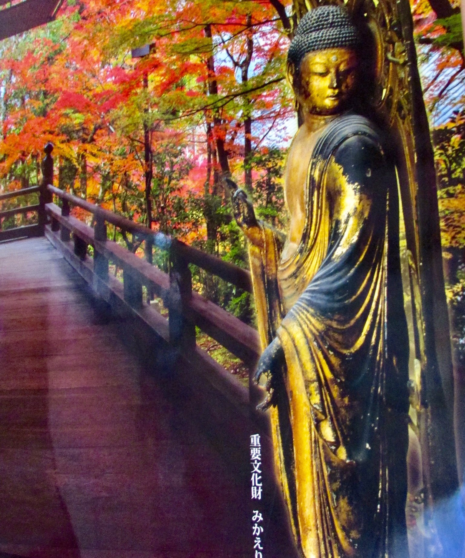 🍁 젠린지(에이칸도) 이미지 4