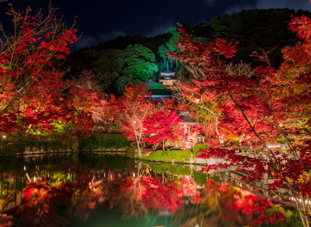 🍁 젠린지(에이칸도) 이미지 9