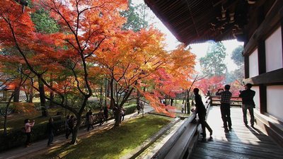 🍁 진정극락사(신쇼고쿠라쿠지)