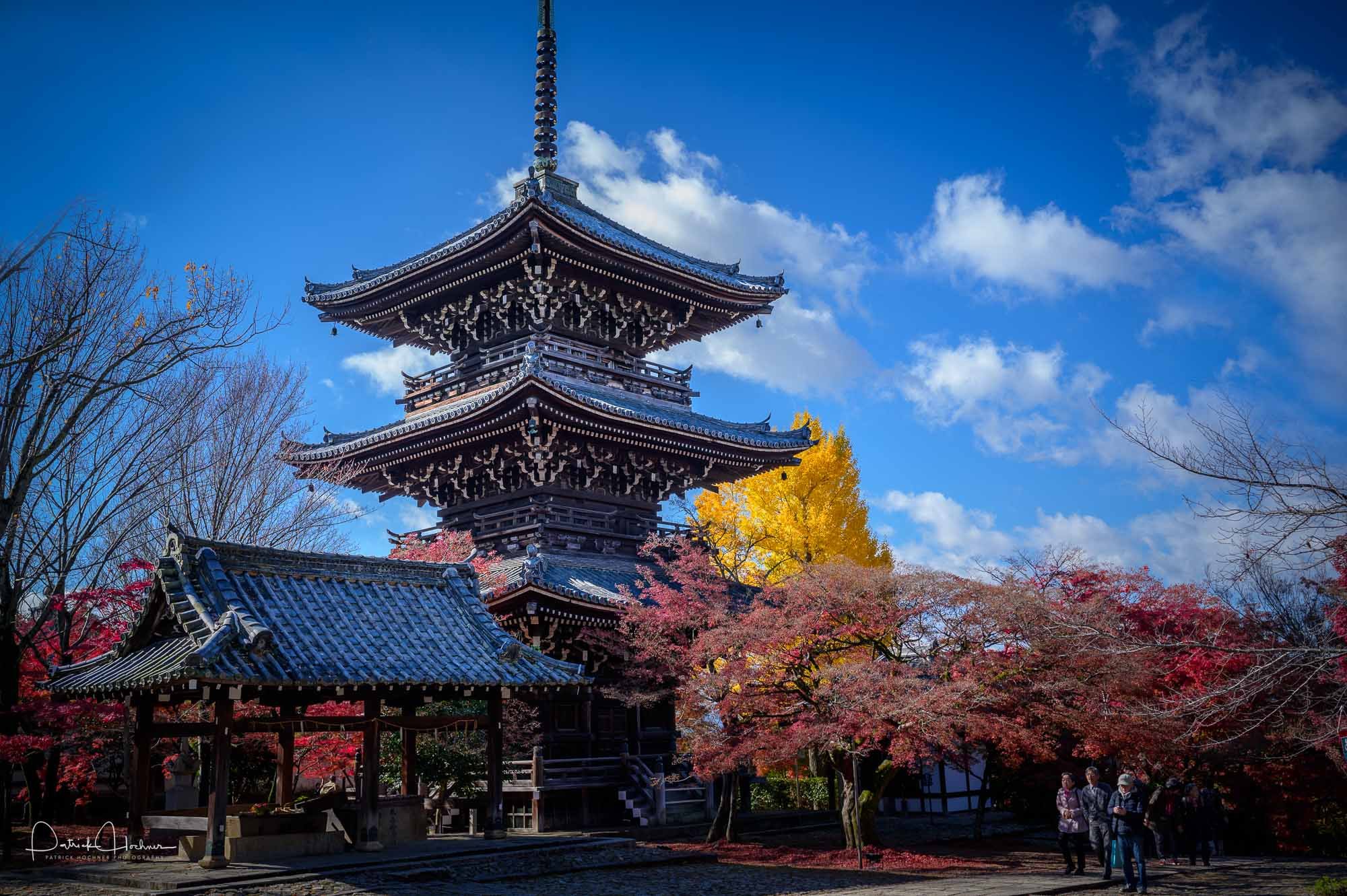 🍁 진정극락사(신쇼고쿠라쿠지) 이미지 9