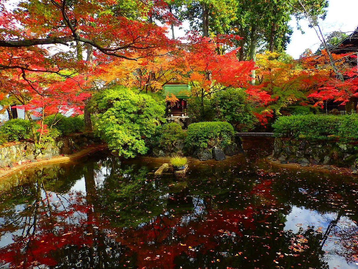 🍁 진정극락사(신쇼고쿠라쿠지) 이미지 8